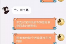 四平为什么选择专业追讨公司来处理您的债务纠纷？